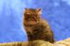 img_4029_small.jpg