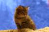 img_4033_small.jpg
