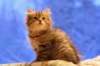 img_4040_small.jpg