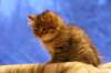 img_4041_small.jpg