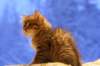 img_4043_small.jpg