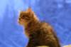 img_4044_small.jpg