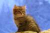 img_4045_small.jpg
