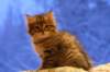 img_4046_small.jpg