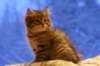 img_4047_small.jpg