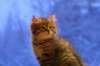 img_4048_small.jpg