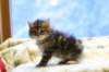 img_3521_small.jpg