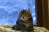img_3553_small.jpg