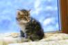 img_3573_small.jpg