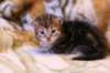 img_1432_small.jpg