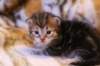 img_1433_small.jpg