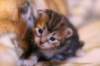 img_1448_small.jpg