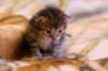 img_1459_small.jpg