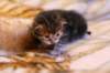 img_1460_small.jpg