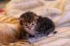 img_1463_small.jpg