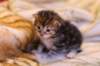 img_1464_small.jpg