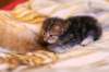 img_1470_small.jpg