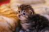 img_1480_small.jpg
