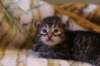 img_1740_small.jpg