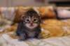img_1787_small.jpg