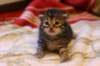 img_1799_small.jpg