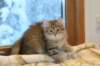 img_5133_small.jpg