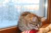 img_5140_small.jpg