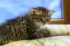 img_2972_small.jpg