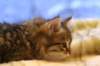 img_3900_small.jpg