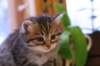 img_2191_small.jpg