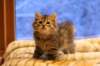 img_3994_small.jpg