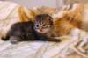img_1841_small.jpg