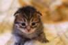 img_1874_small.jpg