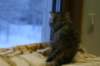 img_3461_small.jpg