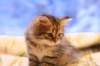 img_3915_small.jpg
