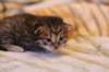 img_1661_small.jpg