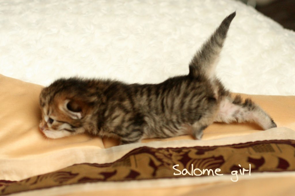 salomegirlimg_7046.jpg