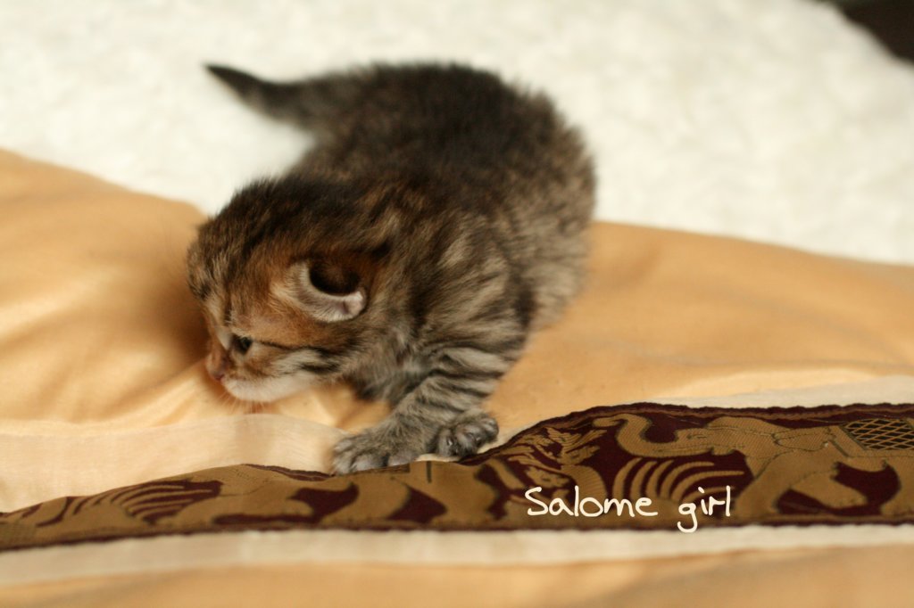 salomegirlimg_7047.jpg