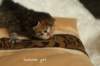 salomegirlimg_7050_small.jpg