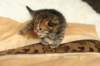 salomegirlimg_7052_small.jpg
