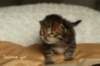 salomegirlimg_7057_small.jpg