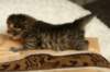salomegirlimg_7061_small.jpg