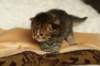 salomegirlimg_7064_small.jpg