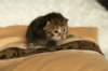 salomegirlimg_7073_small.jpg