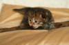salomegirlimg_7075_small.jpg