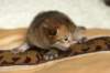 salomoboyimg_6952_small.jpg