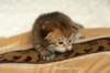 salomoboyimg_6954_small.jpg