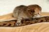 salomoboyimg_6955_small.jpg