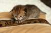 salomoboyimg_6958_small.jpg