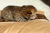 salomoboyimg_6962_small.jpg